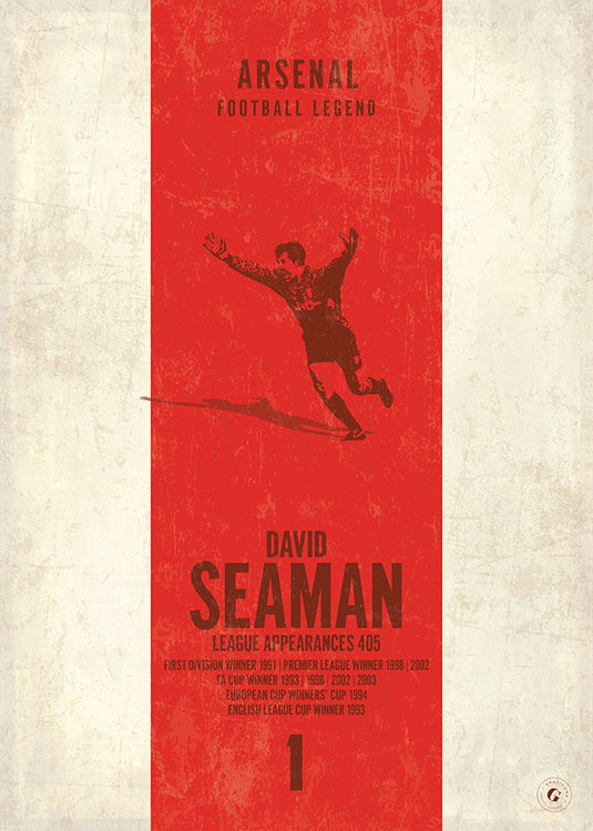 Póster de David Seaman (banda vertical)