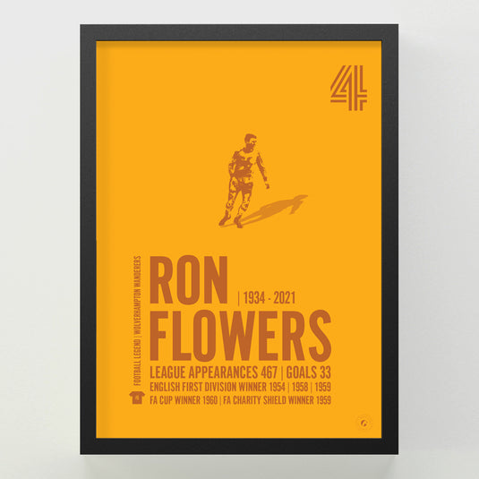Ron Flowers Poster