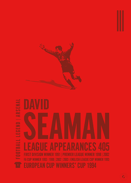 David marin Poster