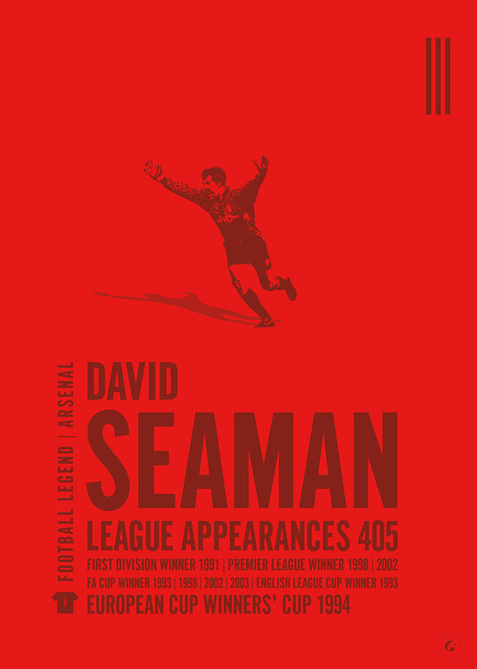 David Seaman Poster