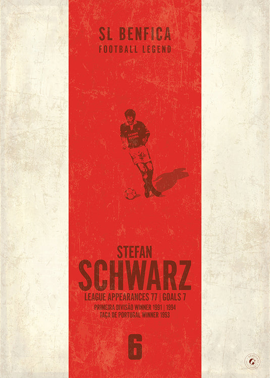 Stefan Schwarz Benfica Heritage Stripes Print