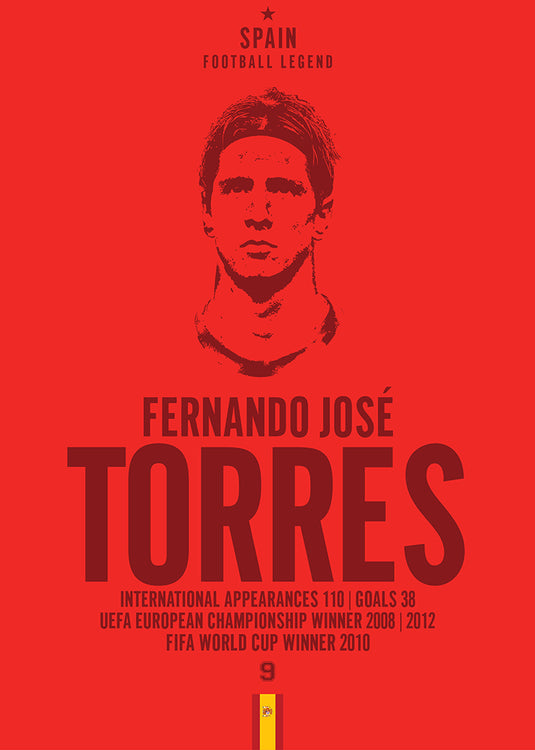 Cabeza de Fernando Torres Póster