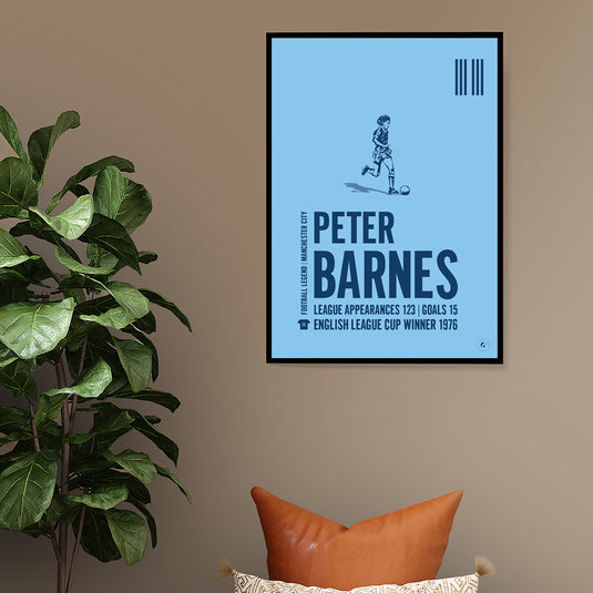 Peter Barnes Poster