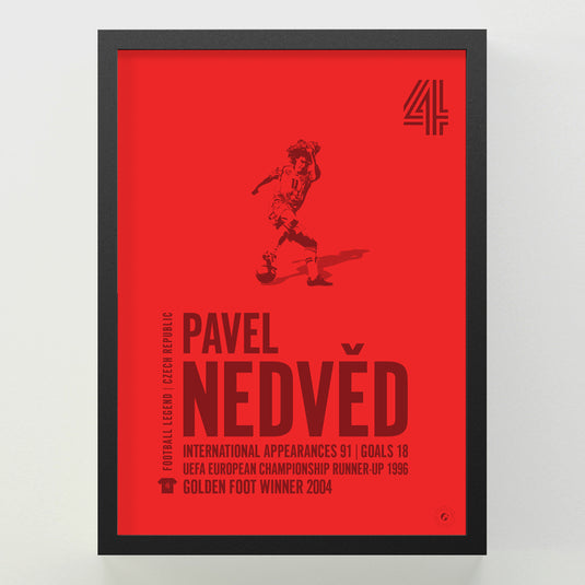 Pavel Nedved Poster