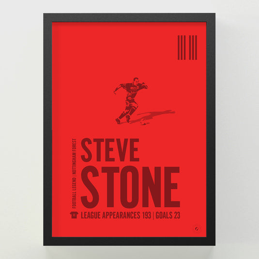 Steve Stone Poster