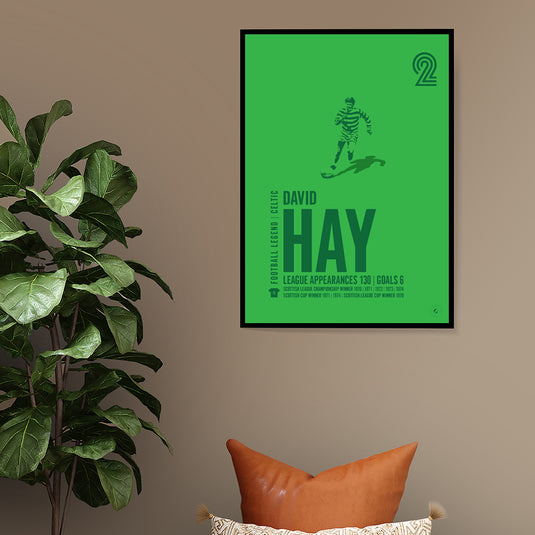 Davie Hay Poster