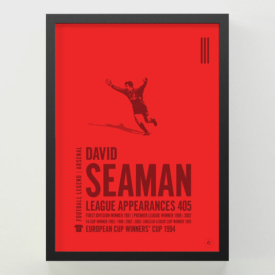 David Seaman Poster