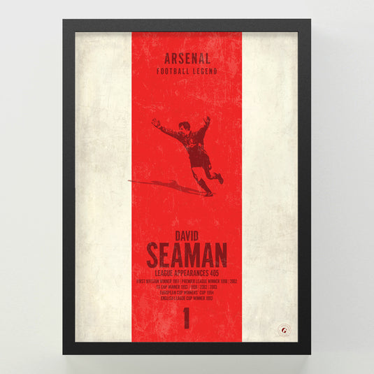 David Seaman Poster