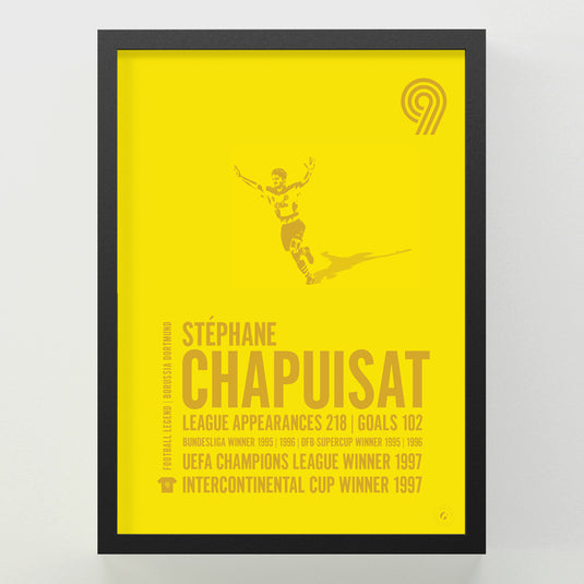 Stephane Chapuisat Poster