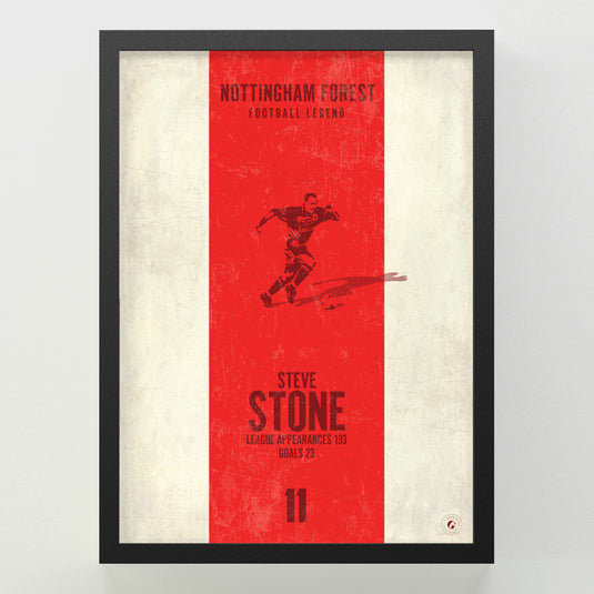 Steve Stone Poster