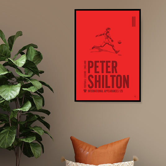 Peter Shilton Poster